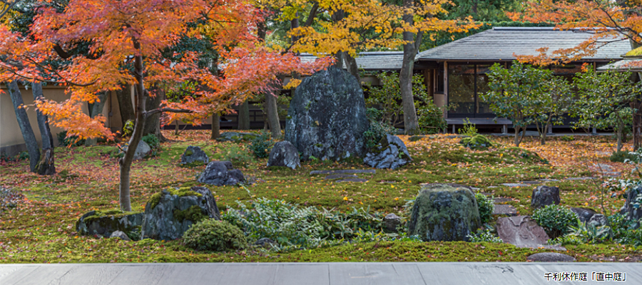 日本庭園の石組 Niwasora にわそら