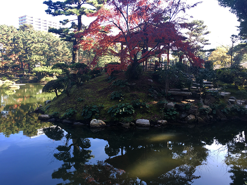 日本庭園の植栽 | Niwasora ニワソラ