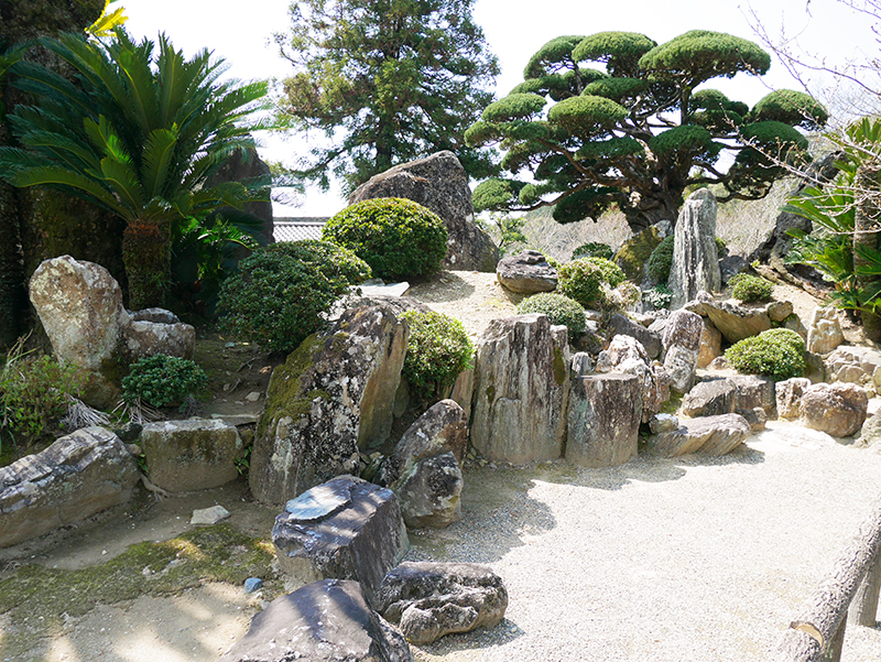日本庭園の植栽 | Niwasora にわそら